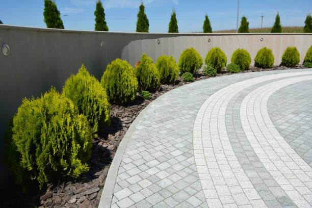 Best Driveway Paving Contractor  in Covelo, CA